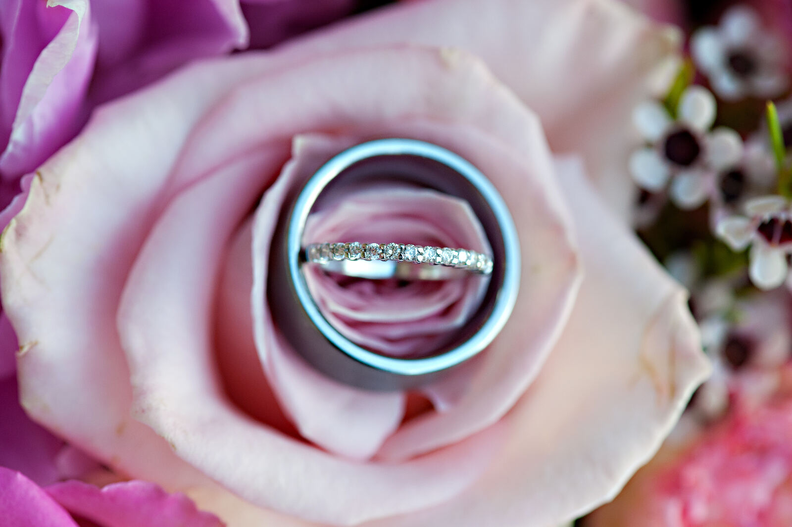 Marchmont Pavilion wedding