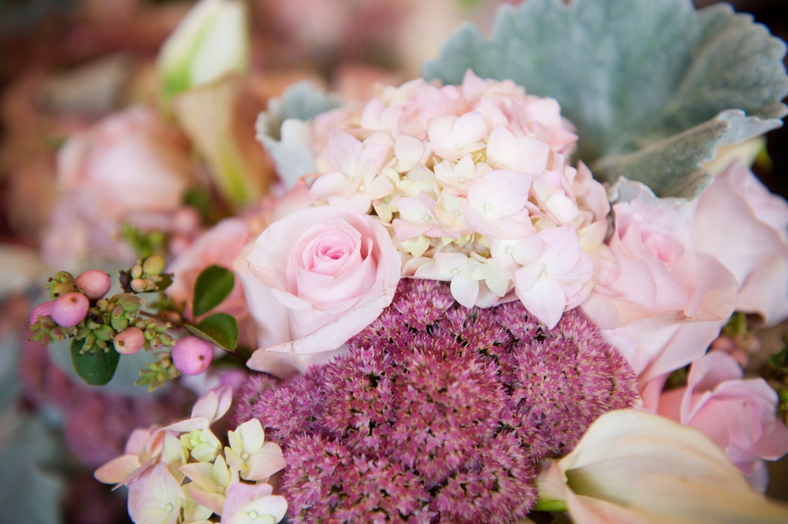 Alder Point Lodge wedding
